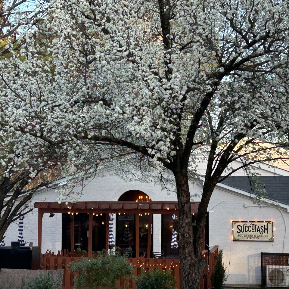 Succotash Southern & Creole Kitchen exterior with a blooming white tree and illuminated patio.